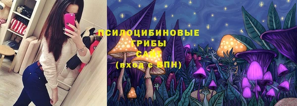 дурь Покачи